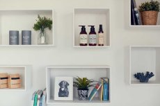 画像10: 【SALON FOR DOGS】 パーフェクトセット（シャンプー、コンディショナー、ブラッシングスプレー ） (10)