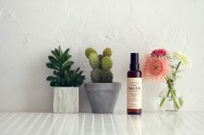 画像3: 【SALON FOR DOGS】 ブラッシングスプレー 150ml  (3)