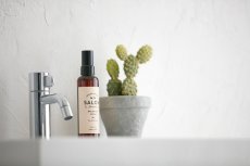 画像5: 【SALON FOR DOGS】 ブラッシングスプレー 150ml  (5)