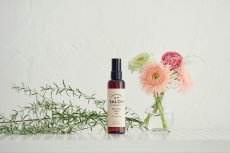 画像1: 【SALON FOR DOGS】 ブラッシングスプレー 150ml  (1)