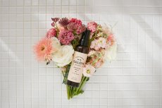 画像2: 【SALON FOR DOGS】 ブラッシングスプレー 150ml  (2)