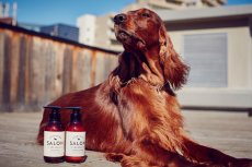 画像3: 【SALON FOR DOGS】 ミネラルセット PRO 業務用セット　３.８L (3)